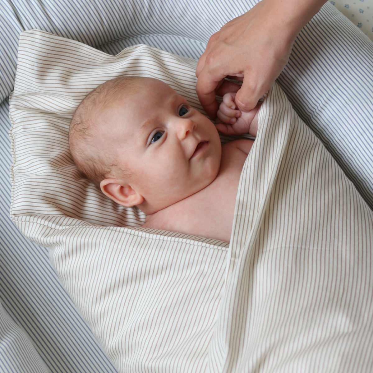 Babynest - OCS - Classic Stripes Blue