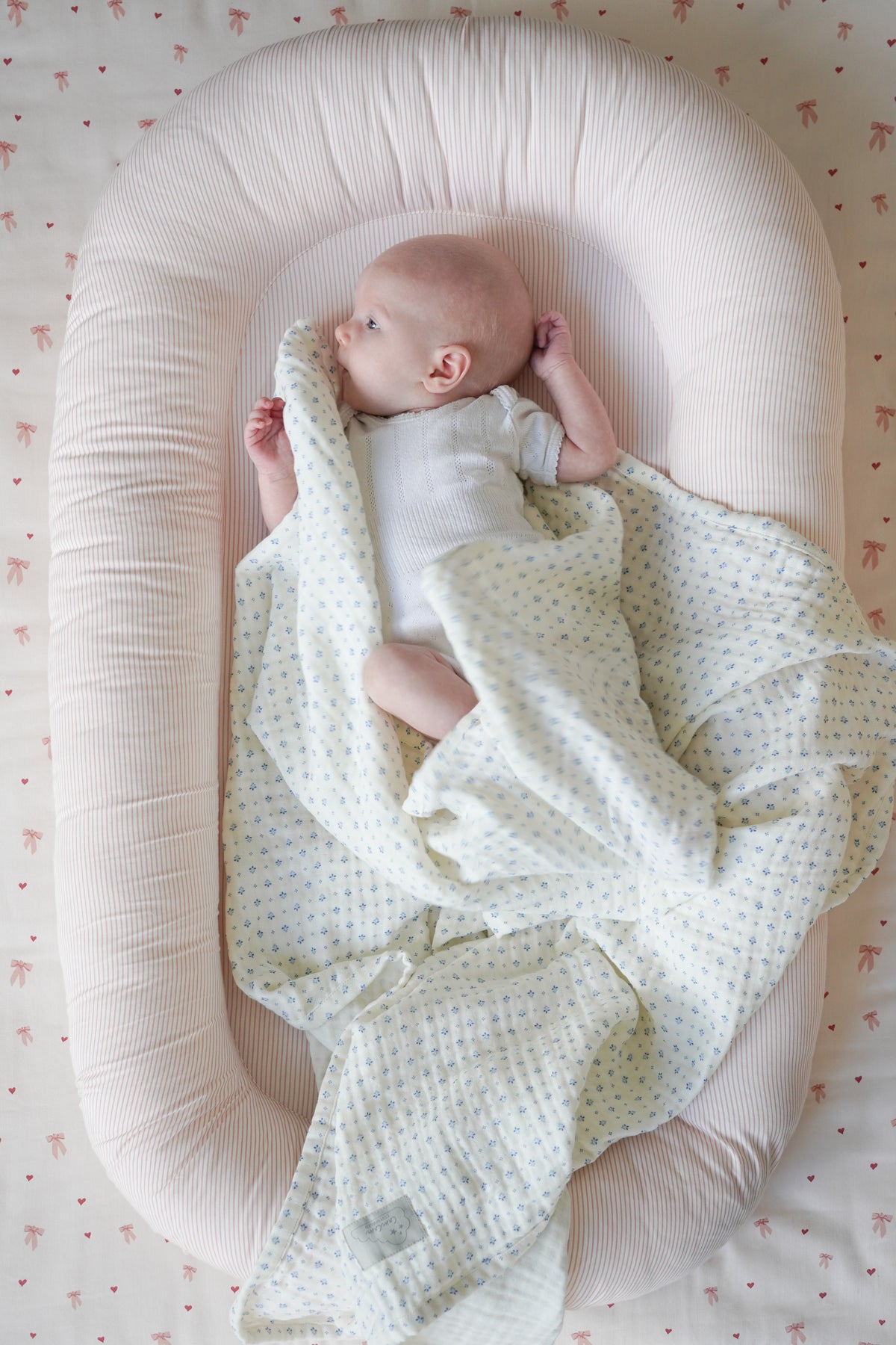 Babynest - OCS - Classic Stripes Rose